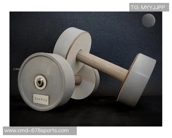 大连体育器材健身器材助力健康生活提升运动体验的最佳选择